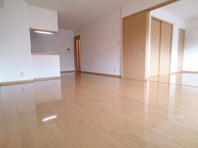 ＬＤＫ パルム安又