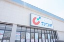 カワチ薬局針ヶ谷店(ドラッグストア)まで806m ポルテボヌールB棟