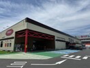 WILD-1宇都宮西川田店まで1360m エスペランサ Ｂ