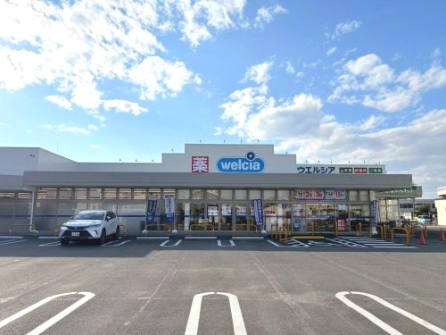 ウエルシア宇都宮泉が丘店(ドラッグストア)まで719m クレストV峰A