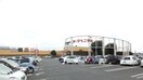 ヨークタウン石橋店（1598ｍ） クレスト雅 Ｂ