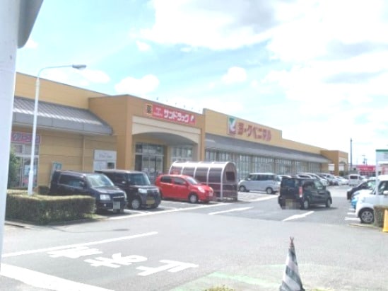 サンドラッグ 宇都宮石井店(ドラッグストア)まで659m グリーンハイツ Ｈ