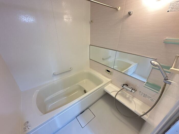  ジュールフェリエ