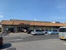 スーパーオータニ江曾島店（1985ｍ） エトワール キューブ Ｃ