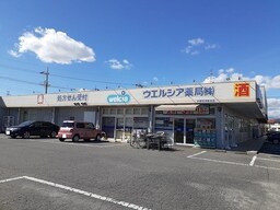 ウエルシア宇都宮清原台店まで3500m