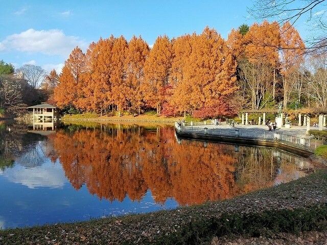 中央公園まで400m フローラ美里