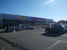 カンセキ雀宮店まで830m エントピアＡ