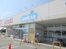 ウエルシア宇都宮簗瀬2号店(ドラッグストア)まで400m カーサソラーレ Ｂ