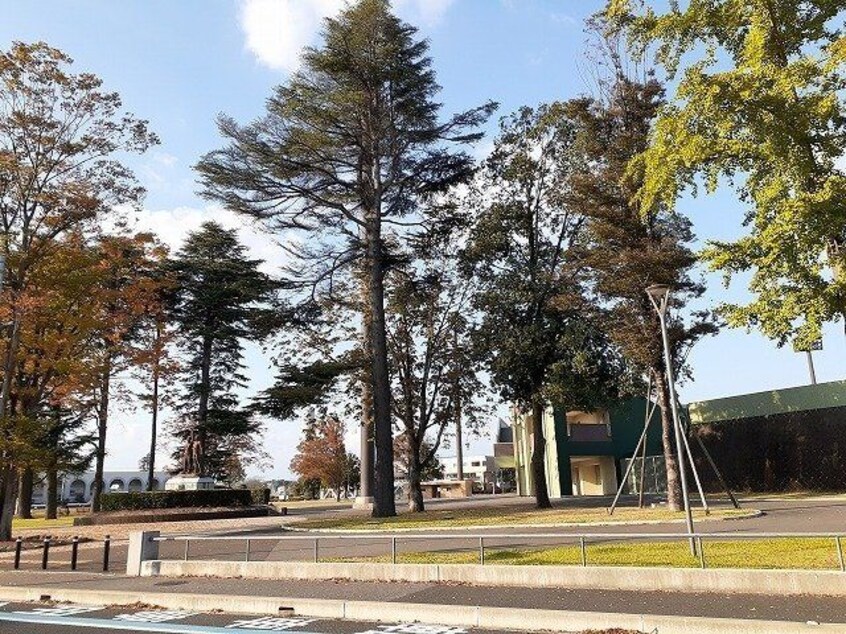 栃木県総合運動公園まで300m クレストール西川田