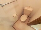 清潔感のあるトイレです スターナハイム