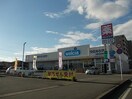 ウエルシア薬局平松本町店まで400m パルテールＢ