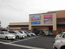 カワチ大曽店まで650m ツリーハウス