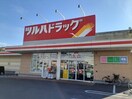 ツルハドラッグ宇都宮簗瀬店まで1000m ブリアンハイムＢ