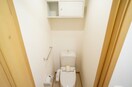 落ち着いた色調のトイレです ブリアンハイムＢ