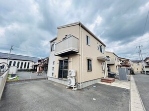リリーバーベナ