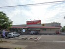 ツルハドラッグ 宇都宮陽東店(ドラッグストア)まで761m ルアナ