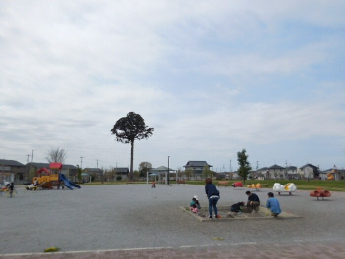 アパート北・大きな一本杉が目印になります（公園内） フォーゲルテラス ブラウⅠ