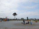 アパート北・大きな一本杉が目印になります（公園内） フォーゲルテラス ブラウⅠ