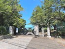 宇都宮市立陽南小学校(小学校)まで489m メゾン・ド・luna