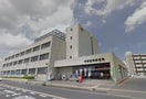 宇都宮東郵便局(郵便局)まで186m ロジュマン・リリーバーベナ