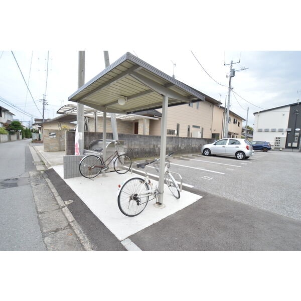  ブランシェット