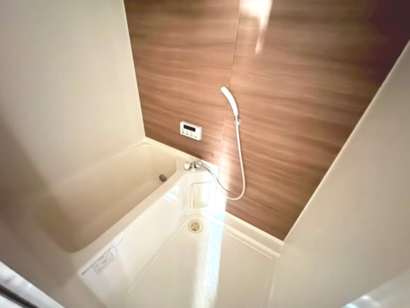  シティパルスギモトⅡ