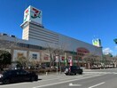 ショッピングモール Bell Mall(ベルモール)(ショッピングセンター/アウトレットモール)まで264m プレミアムガレージ陽東