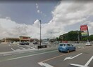 フードオアシスOTANI一の沢店(スーパー)まで617m エルスリー緑
