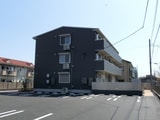 コージーコート