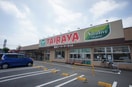 エコスTAIRAYA(たいらや) 川島店(スーパー)まで1278m ルミエールB棟