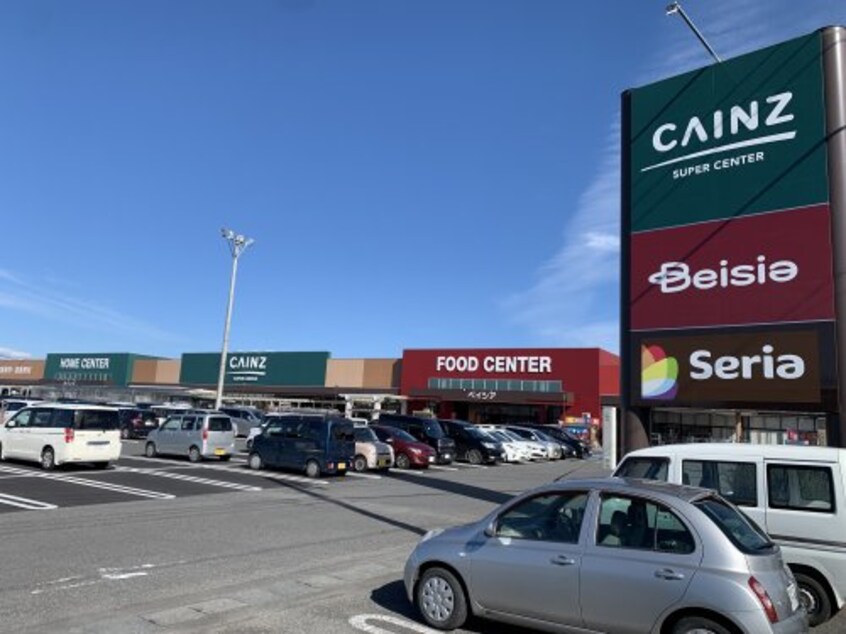 カインズホーム スーパーセンター結城店(電気量販店/ホームセンター)まで1881m ディオス