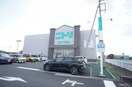 ニトリ 結城店まで2375m ディオス