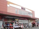 山新　結城店まで250m センローク