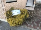 外観写真（昼） ルミナスハイム