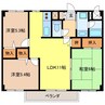 ルネッサンス犬塚 3LDKの間取り