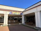 BOOKOFF 玉戸モール店(本屋)まで682m ドリームハイツＡ
