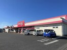 ダイソー下館玉戸店(ディスカウントショップ)まで1001m ドリームハイツＡ