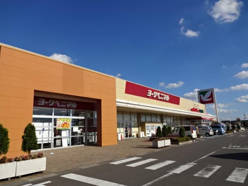 ヨークベニマル結城四ツ京店まで1,205ｍ シャトー　マリアージュ