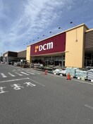 DCMホーマック 筑西横島店(電気量販店/ホームセンター)まで856m Ｎｏｒｔｈｒｉｄｇｅ直井