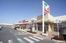 ヨークベニマル結城四ツ京店(スーパー)まで772m 晄颯 弐