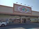 ダイソー小山羽川店まで400m デュランタ