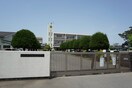 結城市立城南小学校(小学校)まで880m ホシノホームⅡ