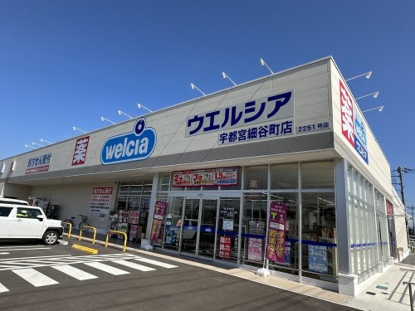 ウェルシア宇都宮細谷町店(ドラッグストア)まで1192m ステラ コート若草 Ａ