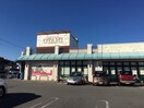 フードオアシスオータニ明保店（1228ｍ） プリンスエドワード