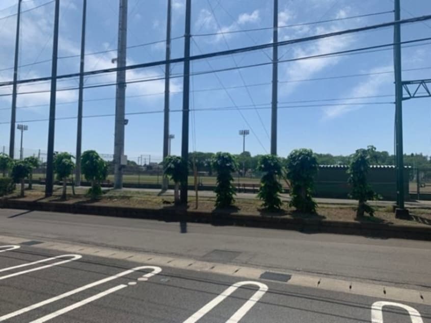 バルコニーからの眺望 ブルーム