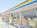 ミニストップ 宇都宮平松本町南店(コンビニ)まで795m KDハイツ平松