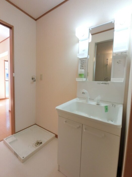 洗髪洗面化粧台と洗濯機置き場 フレックス城東