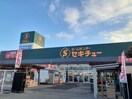 セキチュー 宇都宮駒生店まで1500m ラピスＢ