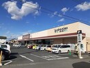 とりせん東光寺店まで400m ソレイユ　２９４