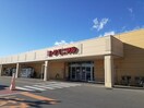 ヨークベニマル若松原店まで1100m ニューシティアクティブ